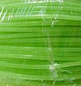 Products: Super Luminous Tubing - 2.5mm ID