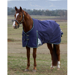 Weatherbeeta Comfitec Plus Dynamic 100gm Standard Neck tackshop.co.nz