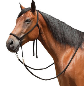 Products: Ezy Ride Bitless Bridle Braided Brush Nylon tackshop.co.nz