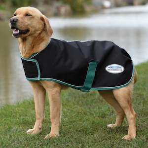 For The Dog: Weatherbeeta Green-Tec 900D Dog Coat (220g)