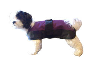 For The Dog: Vantaggio Dog Rug Outdoor