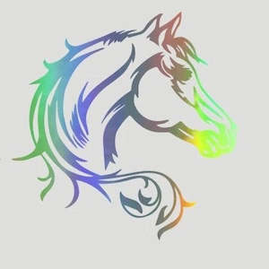 Gifts And Toys: Horse Head Bumper Sticker Mirror Finish