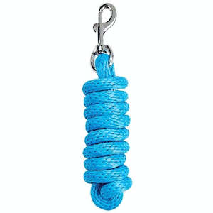 Lunging And Training: Roma Brights Lead