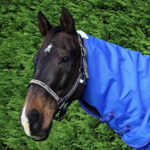 Pessoa Padded Halter