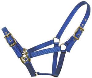 Lunging And Training: Flair Heavy Duty Nylon Web Halter