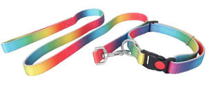 Flair Rainbow Web Dog Lead/Collar Set