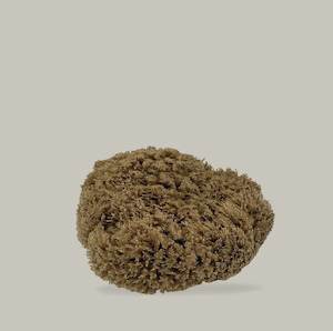 Homewares: Natural Mediterranean Sea Sponges
