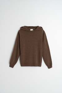 Knitwear: Hooded Cashmere  Sweater In Brown