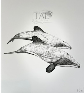 Maui Dolphin Limited Edition: Māui Dolphin Precious Moments | Māui Dolphin Art Print Collection