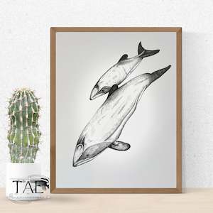 Māui Dolphin Mother and Calf Print | Māui Dolphin Art Print Collection