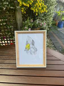 2024 Collection: The Kōwhai (1 part of the 2024 collection)