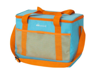 Camping: 25 LITRE COOLER BAG
