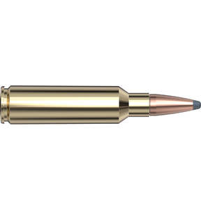 300 WSM 165GR WHITETAIL HORNADY
