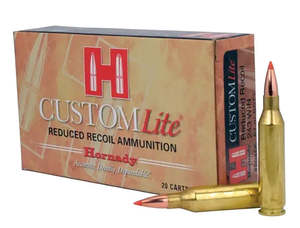 243 WIN 87GRN SST CUSTOM LITE