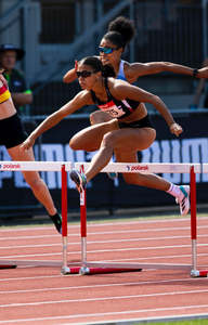 Take Flight: One-on-One Coaching Session