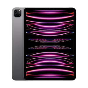 IPAD PRO 11 (GEN 4) WIFI + CELLULAR 256GB - SPACE GREY - GRADE 1