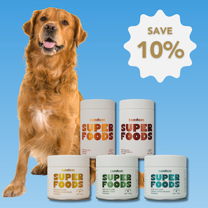 Bundles: Kickstart Pack