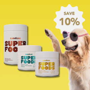 Bundles: Skin & Coat Support Trio