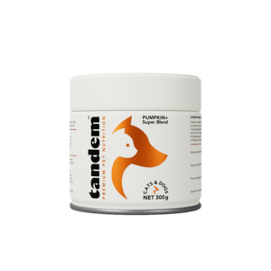 Gut Health: PUMPKIN+ Super Blend