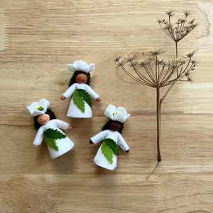 CHRISTMAS ROSE FAIRY ~ AMBROSIUS CHRISTMAS