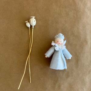 Waldorf Dolls 1: WINTER QUEEN