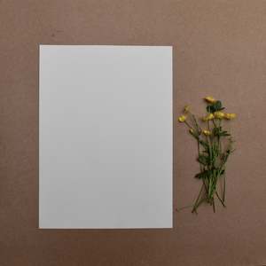 Paints: WET~ON~WET HEAVY WATERCOLOUR PAPER 200GSM ~ 35cm x 50cm ~ 10 SHEETS