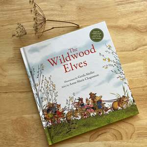 Large Books: THE WILDWOOD ELVES ~ ILLUSTRATED BY GERDA MULLER