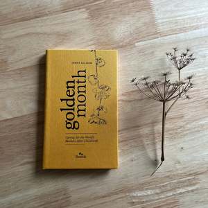 Educational Books: GOLDEN MONTH: CARING FOR THE WORLD'S MOTHERS AFTER CHILDBIRTH ~ JENNY ALLISON