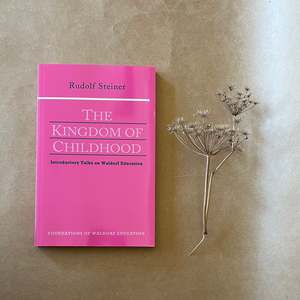 Educational Books: THE KINGDOM OF CHILDHOOD ~ RUDOLF STEINER