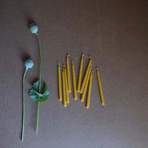 BIRTHDAY CANDLES ~ NATURAL