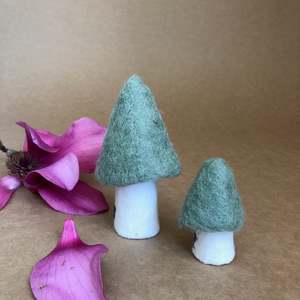 MOREL MUSHROOM - SMALL ~ TENDER GREEN ~ MUSKHANE