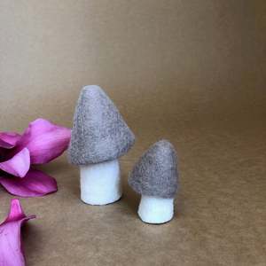 MOREL MUSHROOM - MEDIUM ~ CULULUS~ MUSKHANE