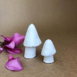 MOREL MUSHROOM - SMALL ~ NATURAL~ MUSKHANE