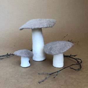 MUSHROOM - XL ~ CUMULUS ~ MUSKHANE