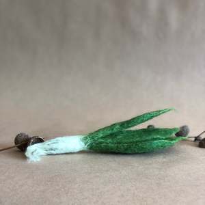 Papoose: 50% OFF ~ MINI WHITE RADISH ~ PAPOOSE