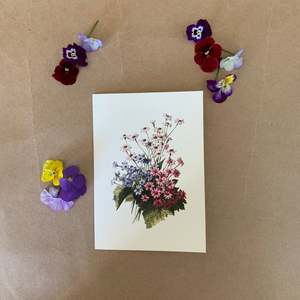 Spring: DAISIES ~ GREETING CARD