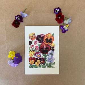 PANSIES ~ GREETING CARD