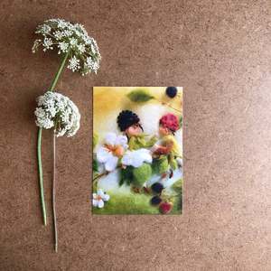 BLACKBERRIES POSTCARD ~ FRANZISKA SERTORI-KOPP