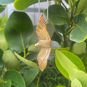 Kārearea Pendant- A fearless pursuit of knowledge