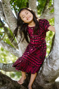 Girls Collection: ROSA CAP SLEEVE GIRLS DRESS TD804