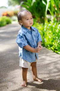 Boys Shirts: DENIM AIGA BOYS SHIRT