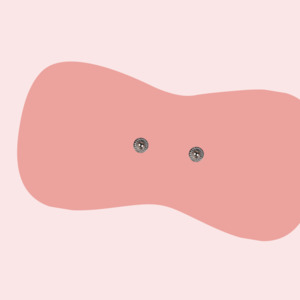 Discreet Replacement Pad (2.0)