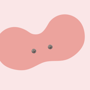 Butterfly Replacement Pad (2.0)