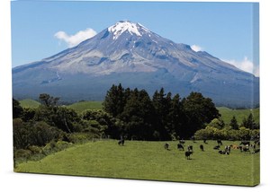 Canvas – Mountain Cows