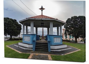 Canvas – Manaia Super Star