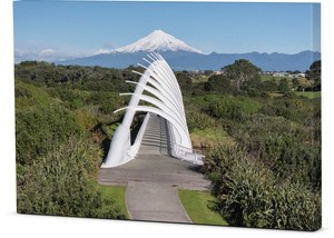 Products: Canvas – The Path to Te Rewa Rewa