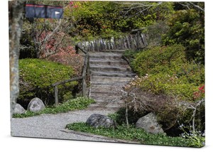 Products: Canvas – Pukekura Spring Path