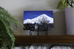 Products: Metal Print – Guarding the Glockenspiel