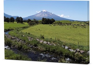 Canvas – Rural South Taranaki Stream