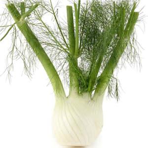 Products: Fennel bulb